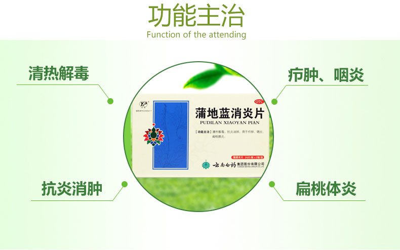 蒲地蓝消炎片_02.jpg